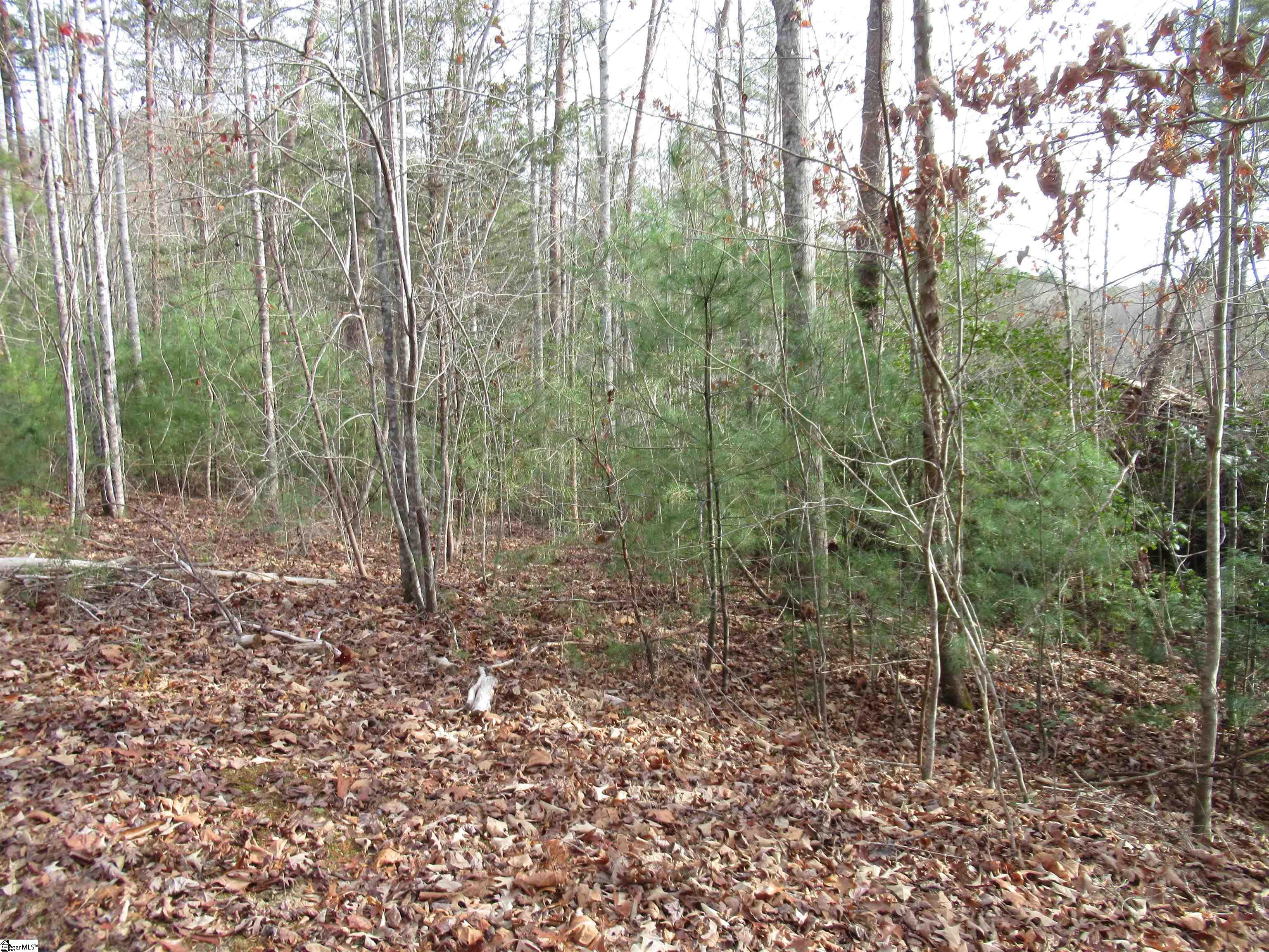 116 Fireside Lane Pickens, SC 29671 - Photo 10 of 31