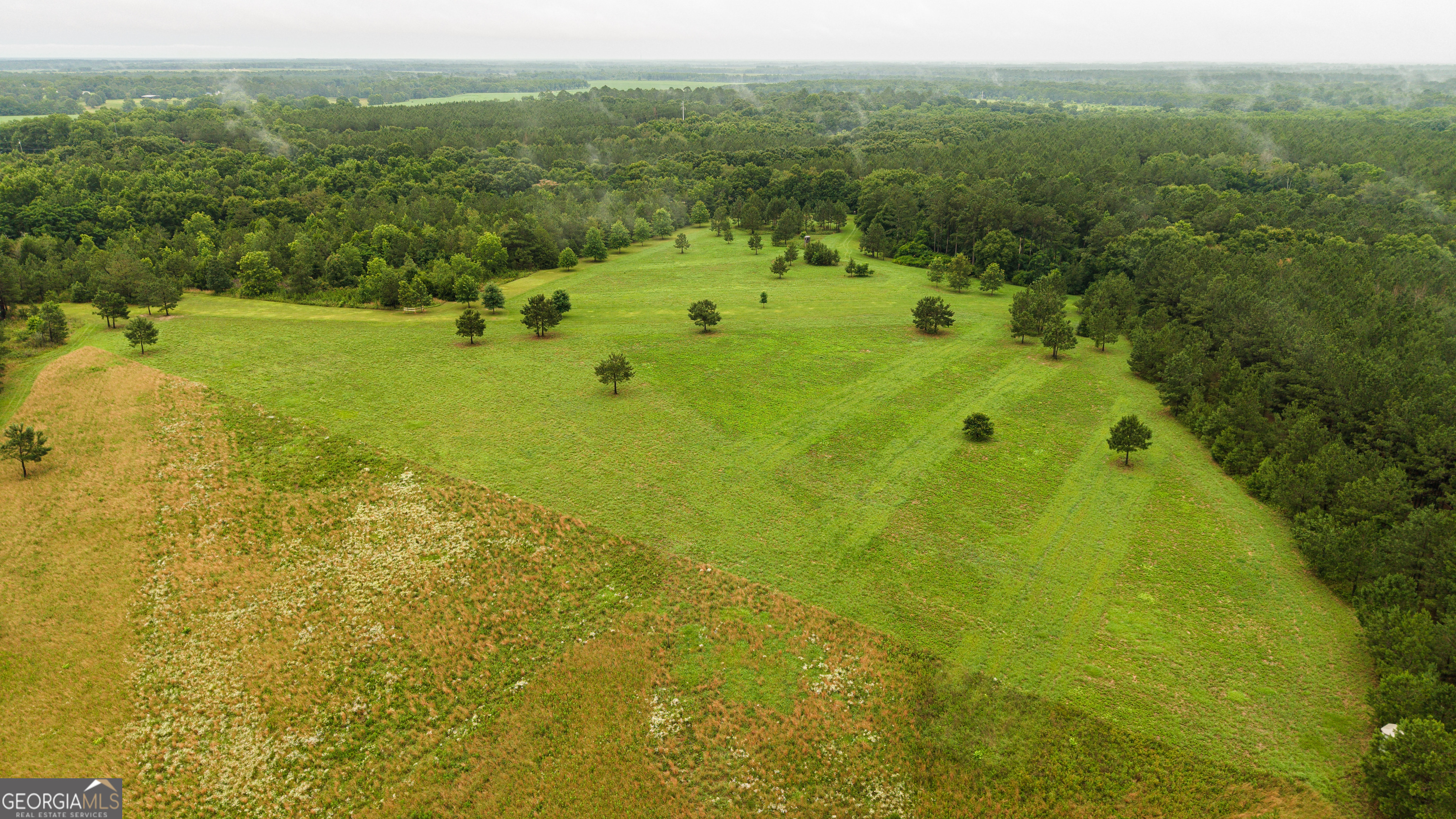 990 Highway 49 Americus, GA 31719 - Photo 111 of 121