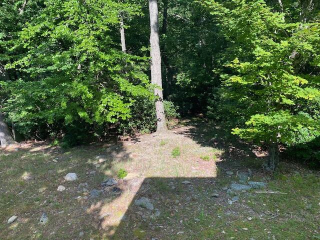 152 Chestnut Ridge Trail Fancy Gap, VA 24328 - Photo 20 of 51 Gallery Image 20
