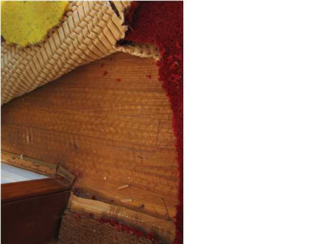 1851 Ogden Road Charleston, SC 29407 - Photo 10 of 10 Additional Photo