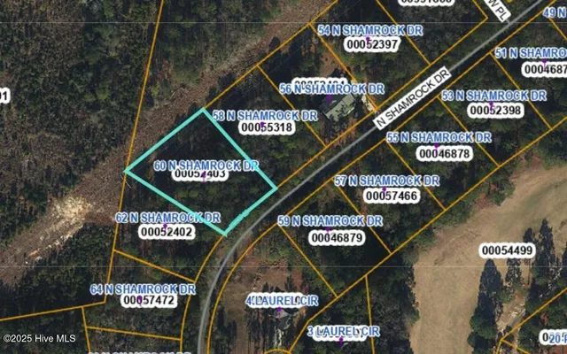 $38,500 | 60 North Shamrock Drive, Jackson Springs, NC 27281