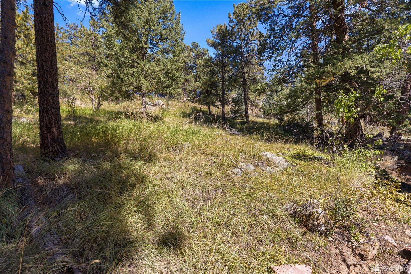 27447 Upper Cold Springs Gulch Road Golden, CO 80401 - Photo 11 of 23 Gallery Image 11