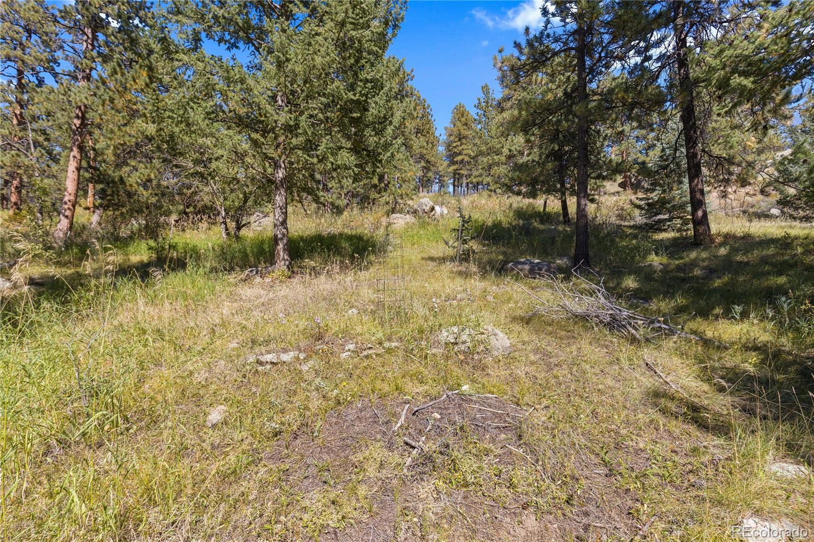 27447 Upper Cold Springs Gulch Road Golden, CO 80401 - Photo 6 of 23 Gallery Image 6
