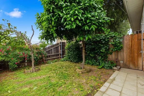 a backyard of a house with plants and tree