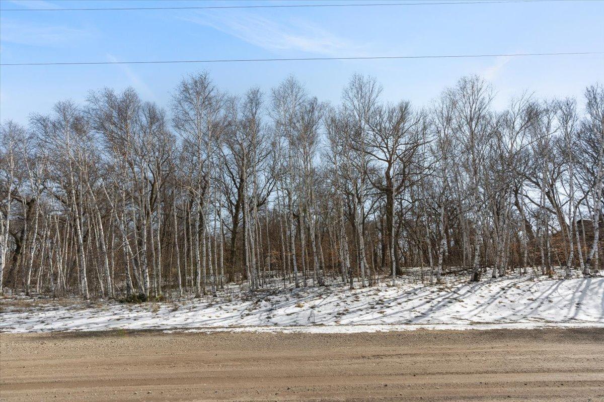 21781 Trestle Ridge Road Albany, MN 56307 - Photo 8 of 8