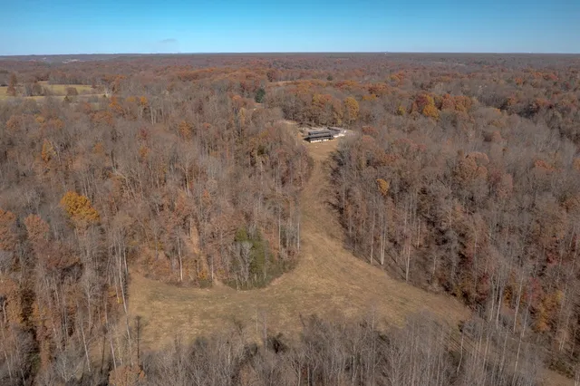 a view of a dry yard with green space