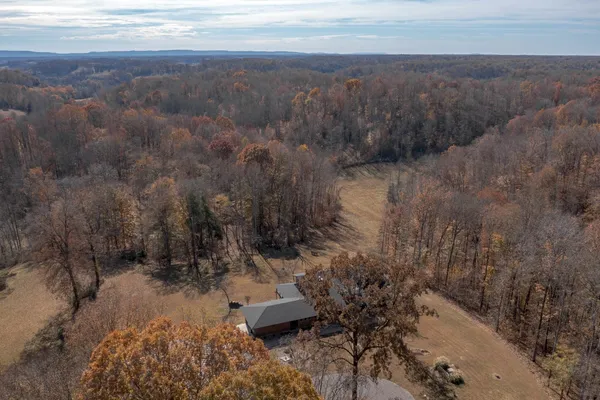 a view of a house with a yard and a large tree
