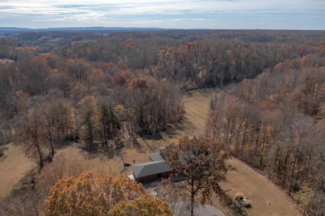 a view of a house with a yard and a large tree