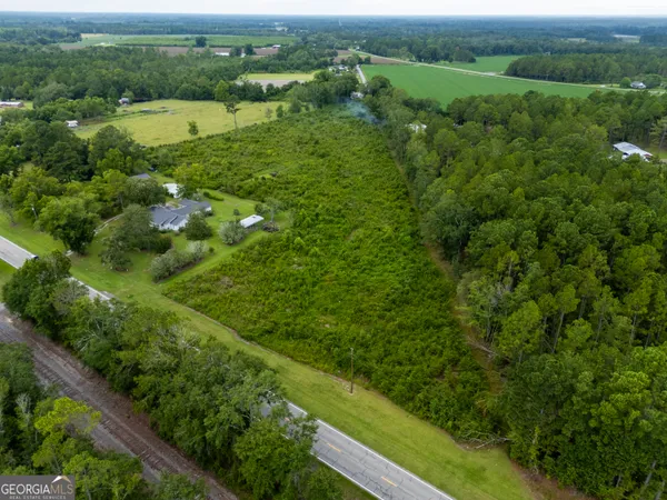 a view of a lush green field with lots of trees
