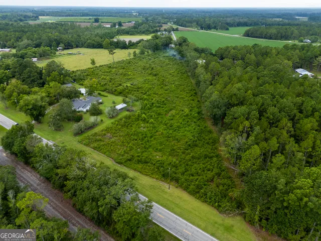 a view of a lush green field with lots of trees