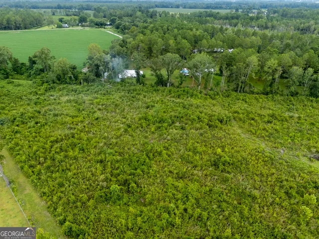 a view of a garden with a lake