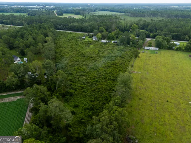 a view of a town with lush green forest
