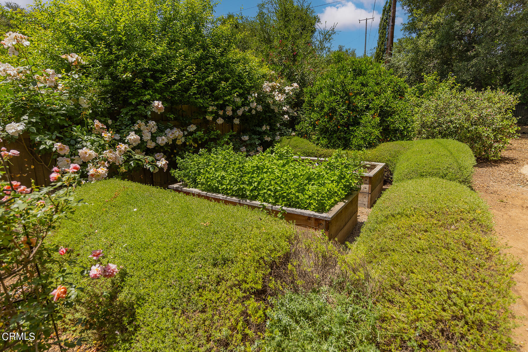 712 Cuyama Road Ojai, CA 93023 - Photo 41 of 50 a view of a garden