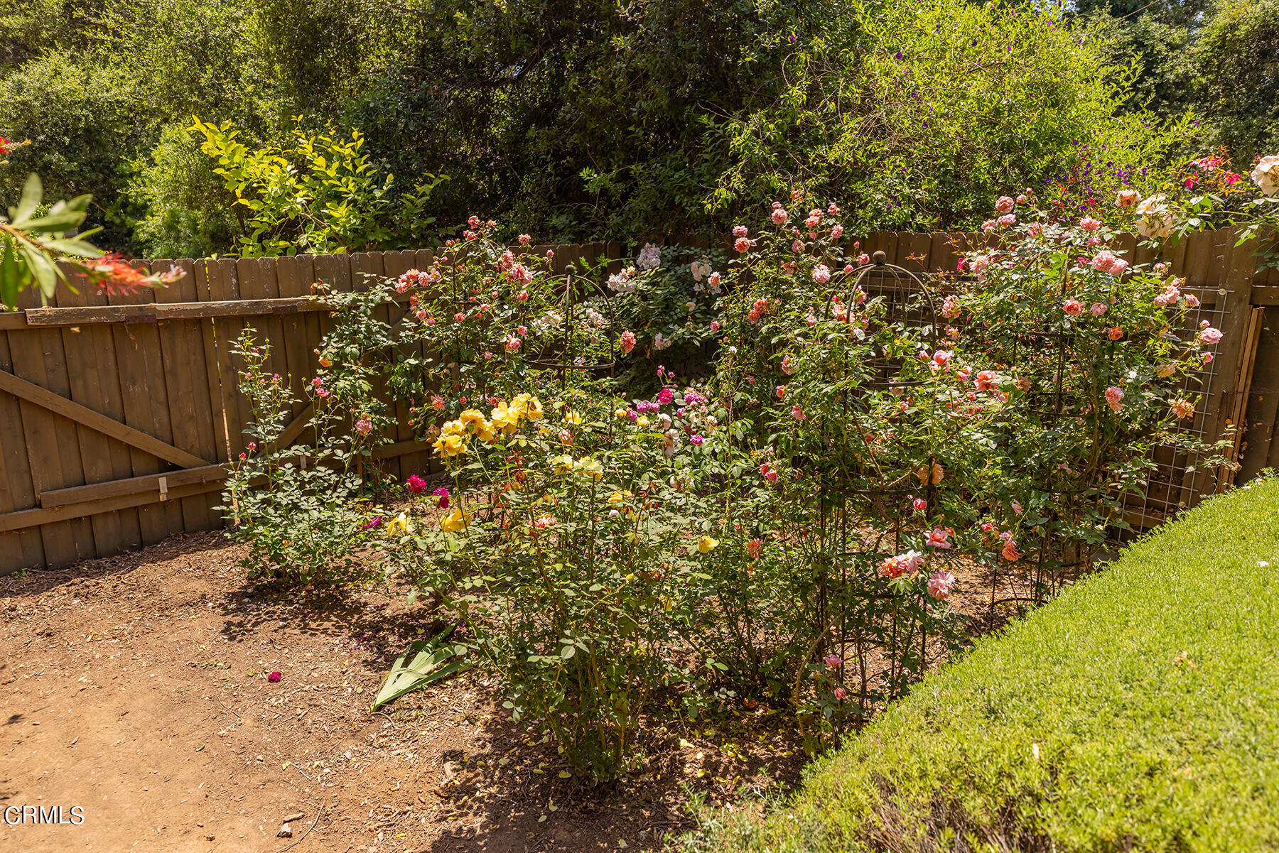 712 Cuyama Road Ojai, CA 93023 - Photo 42 of 50