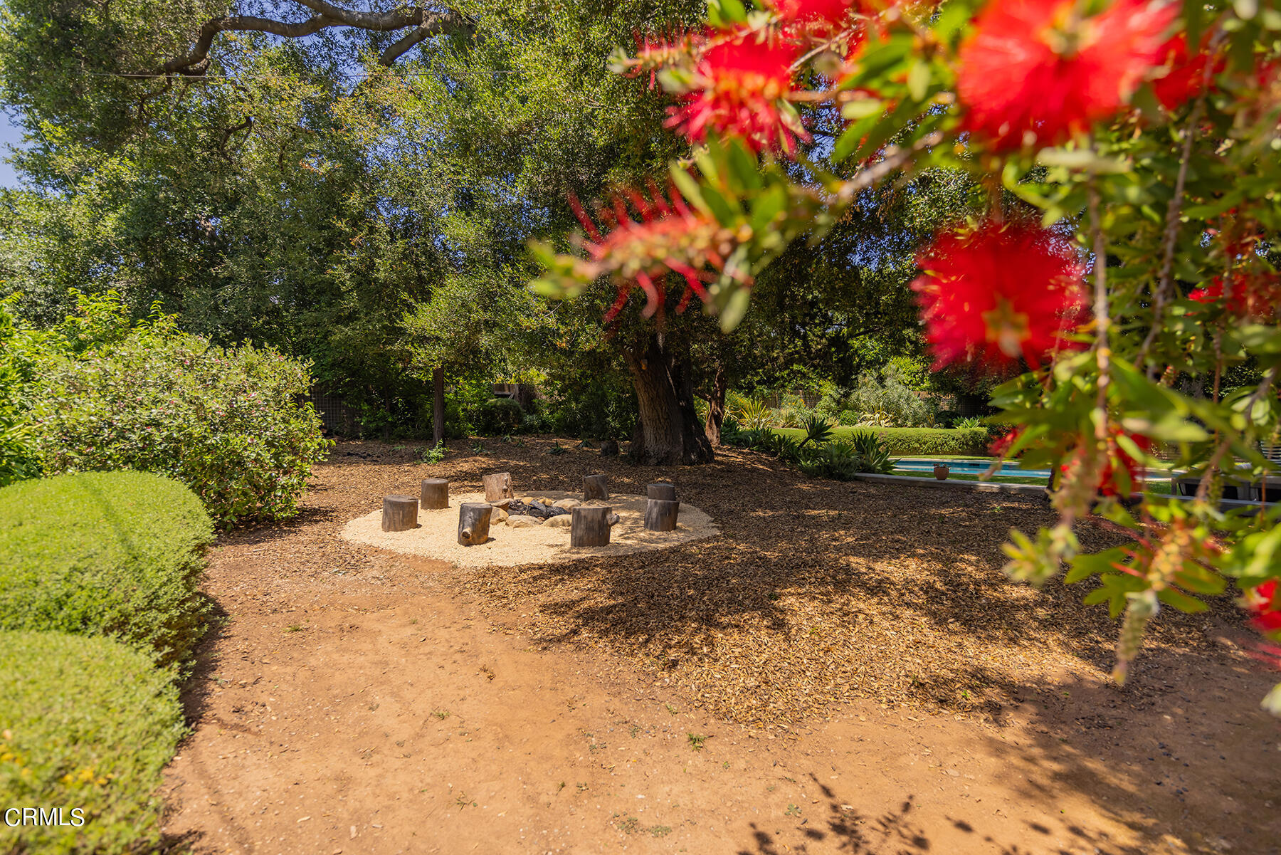 712 Cuyama Road Ojai, CA 93023 - Photo 44 of 50 a view of a yard with plants and large trees