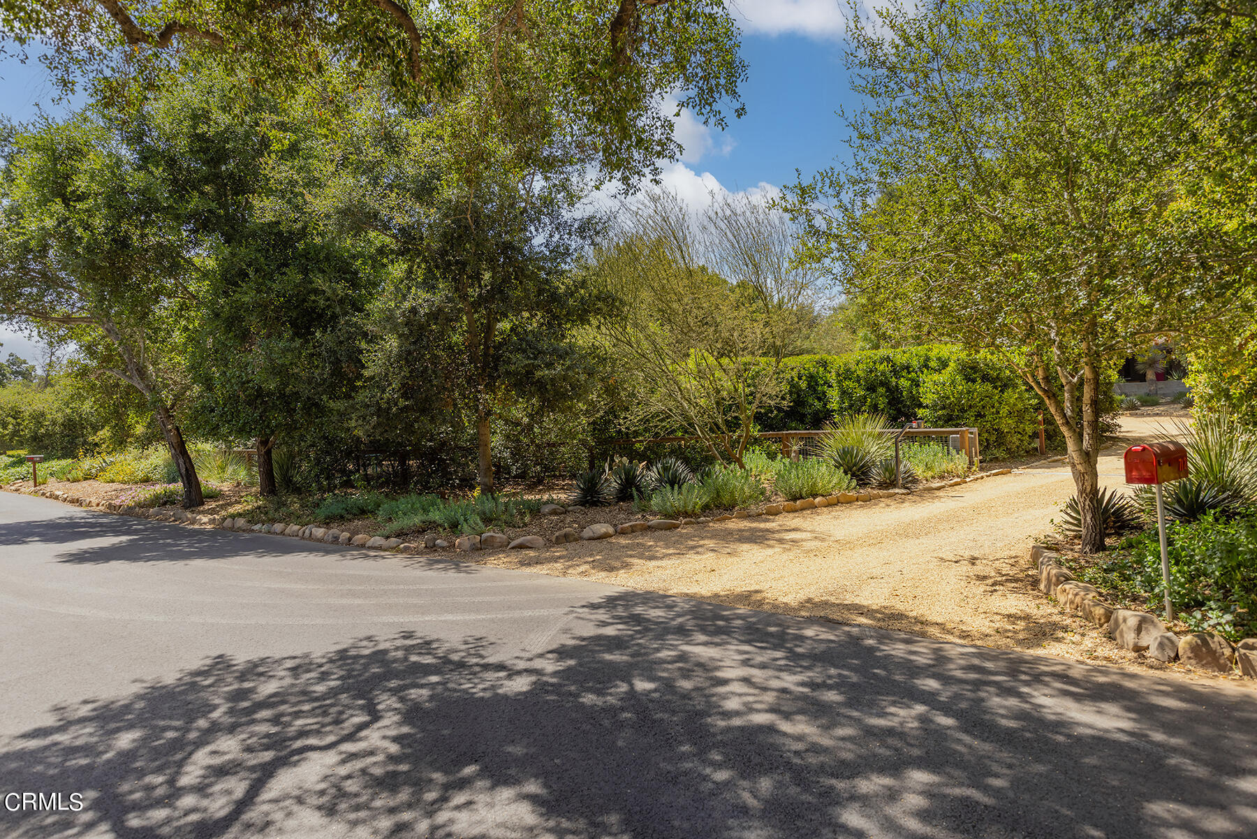 712 Cuyama Road Ojai, CA 93023 - Photo 50 of 50 a view of a yard with plants and trees
