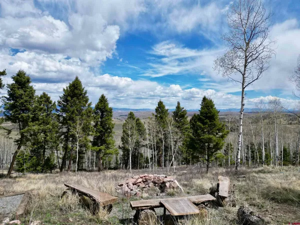 $430,000 | 6001 County Road 25, Powderhorn, CO 81243