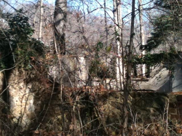 Coffman Hill Road Ronceverte, WV 24970 - Photo 3 of 16 Property