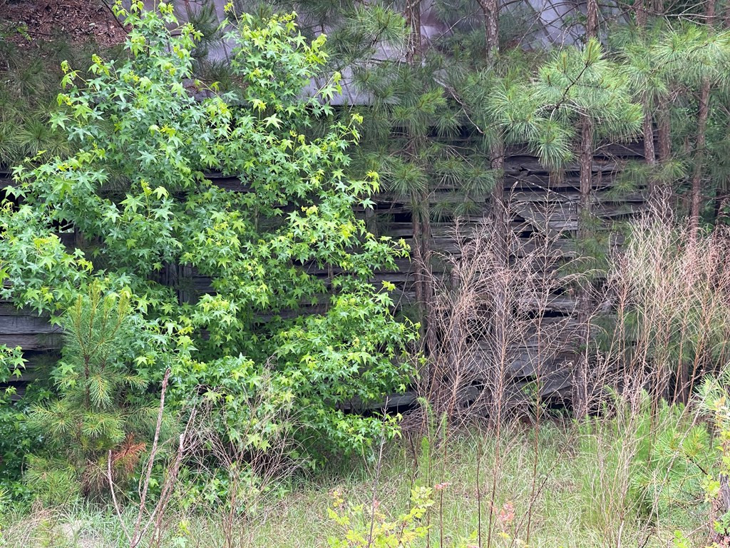 0 Loss Brook Road Manning, SC 29102 - Photo 4 of 14