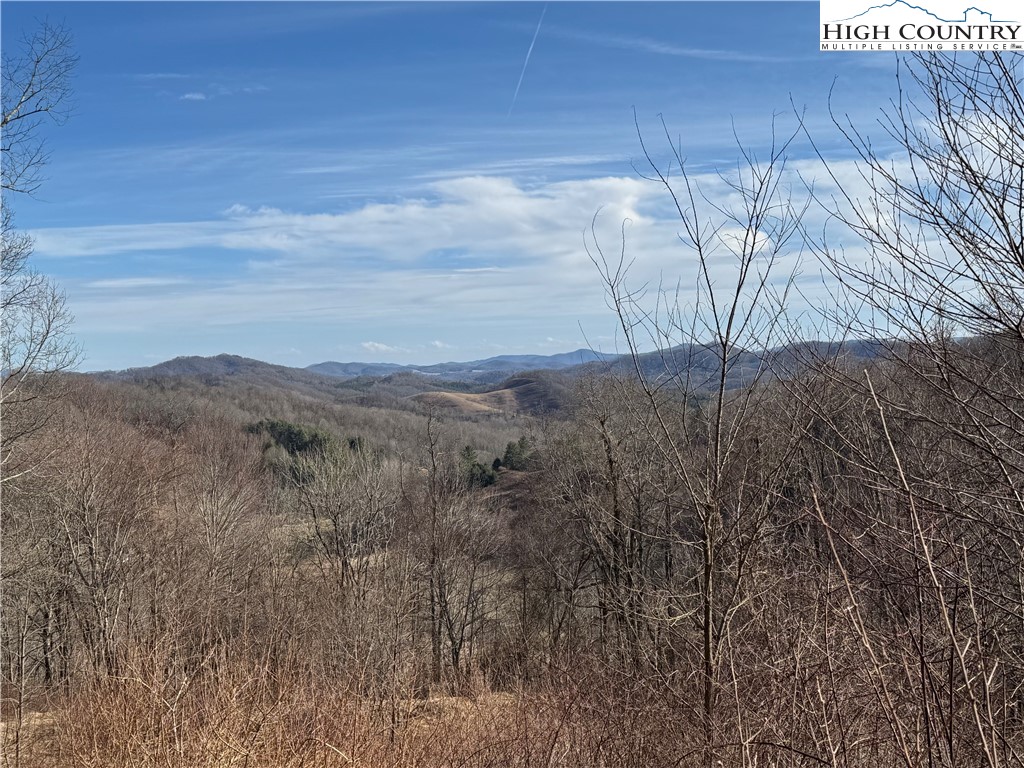 Shippy Branch Road Mouth Of Wilson, VA 24363 - Photo 19 of 50 Gallery Image 19