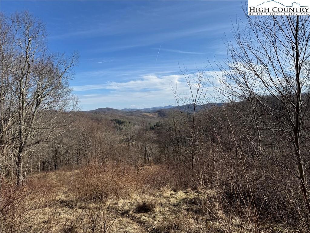 Shippy Branch Road Mouth Of Wilson, VA 24363 - Photo 3 of 50 Gallery Image 3
