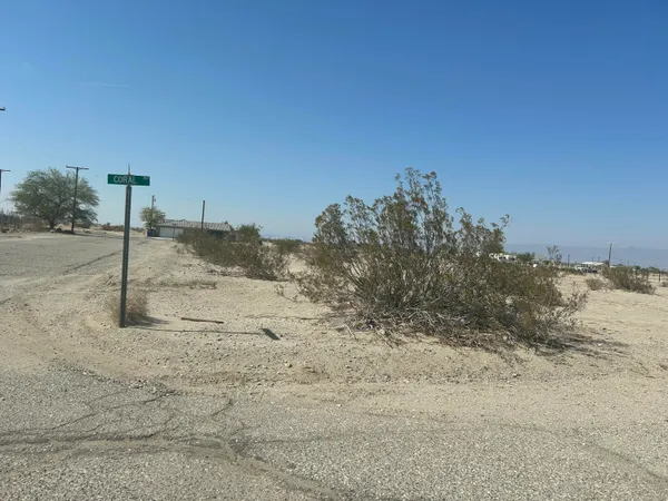 a view of a dry yard