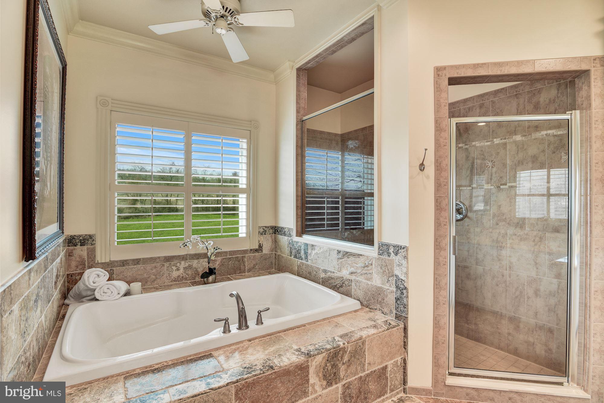 9710 Mt Tabor Road Myersville, MD 21773 - Photo 19 of 30 Bath (Master)