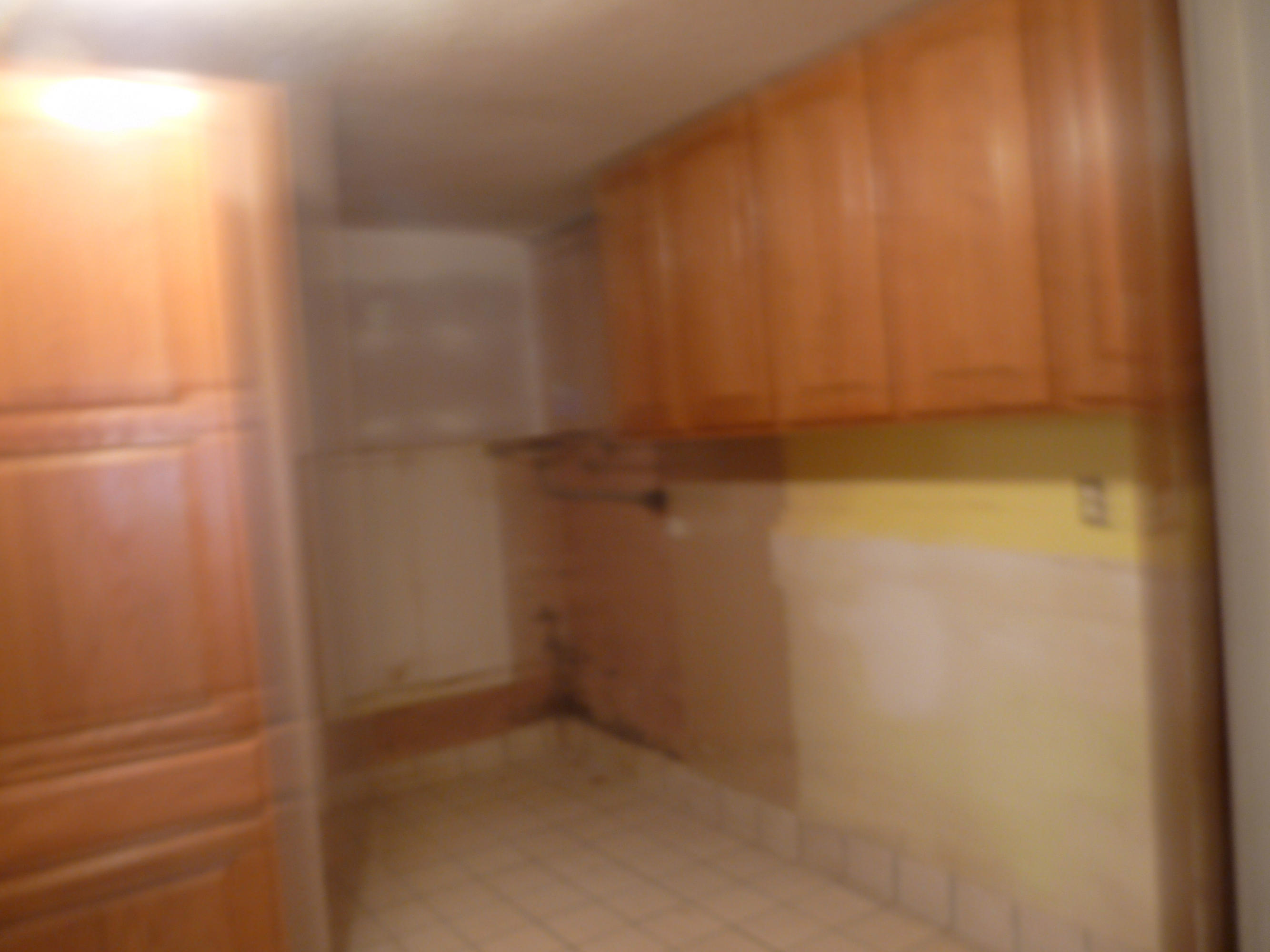 2533 Clint Lowe Road Crossville, TN 38572 - Photo 23 of 29 Basement laundry area