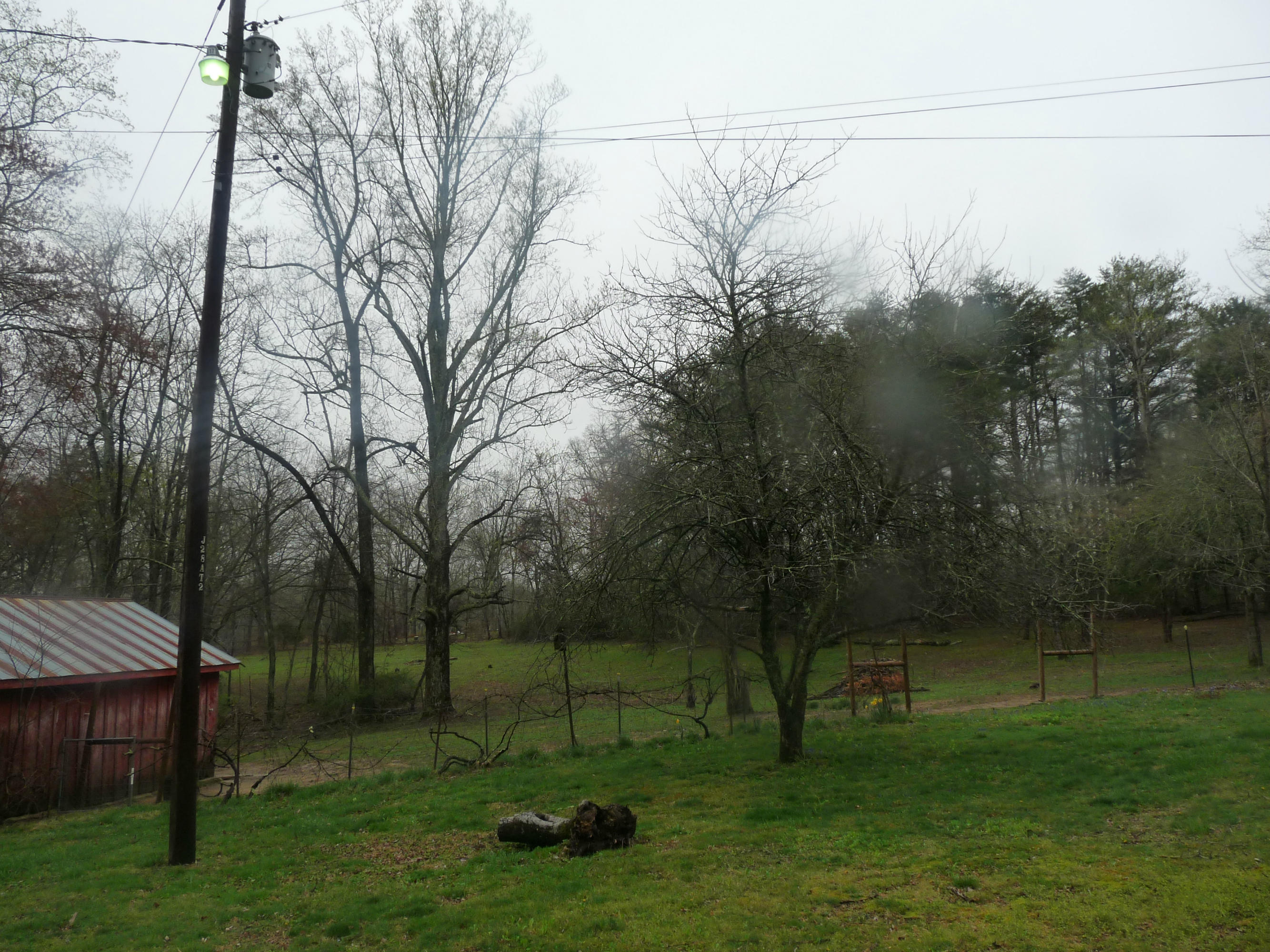 Pasture and wooded area to side