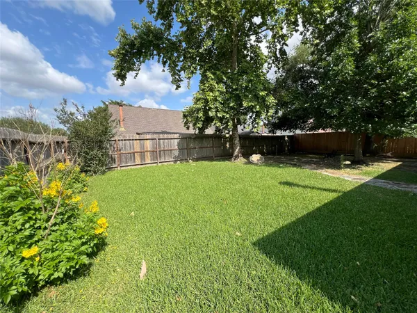 a view of garden with tall trees