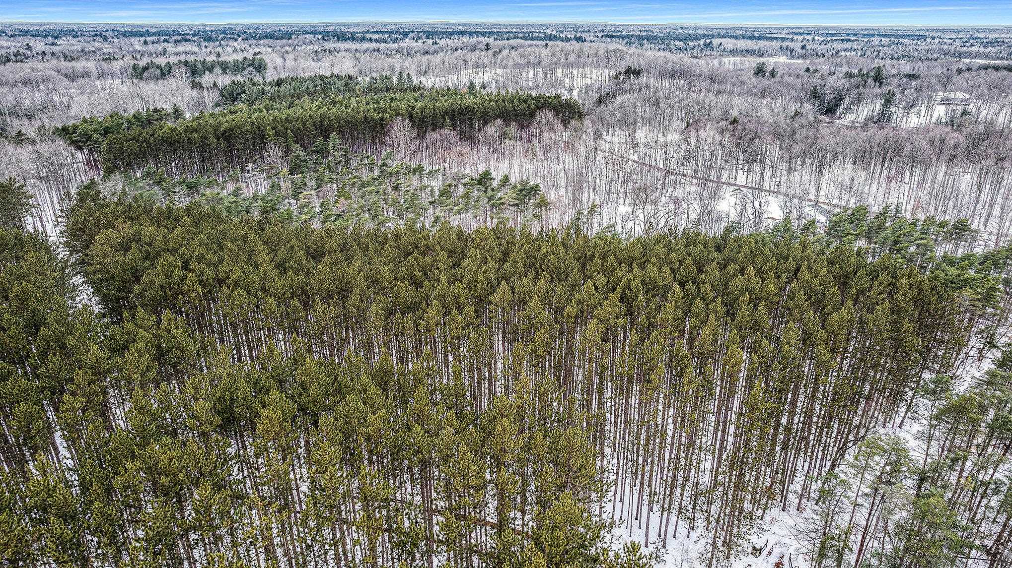 5 D Preston Road Northeast Kalkaska, MI 49646 - Photo 4 of 6