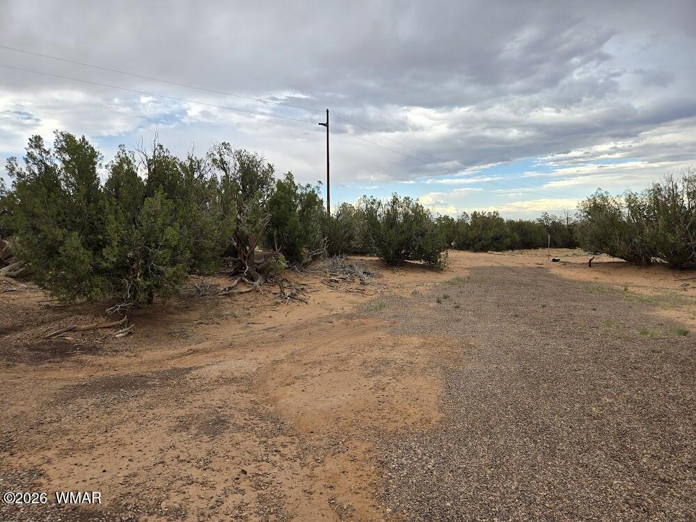 3845 Petersen Road Snowflake, AZ 85937 - Photo 40 of 60