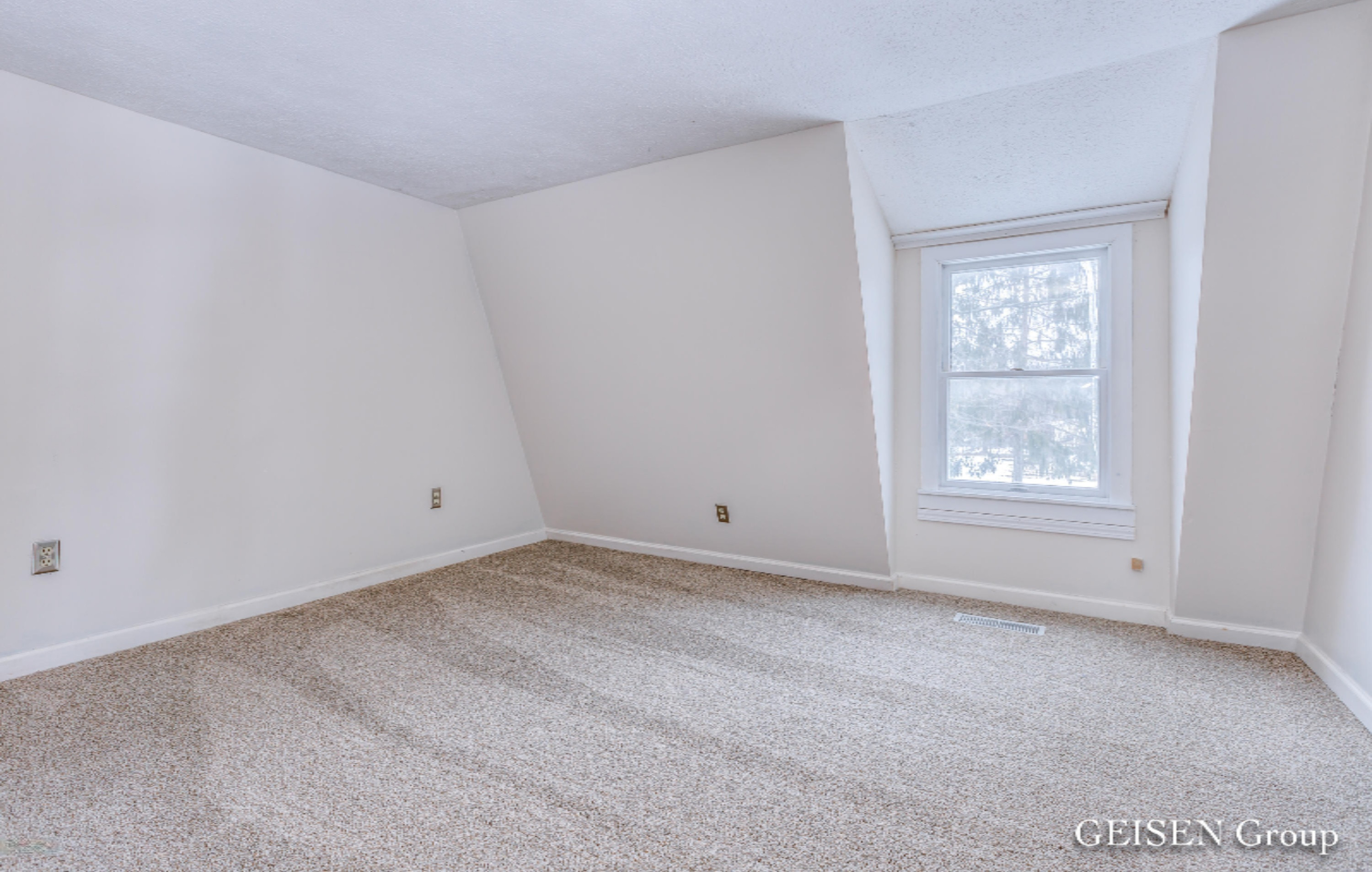 1801 Youngs Road Orleans, MI 48865 - Photo 10 of 16 Geisen Group-1801 Youngs -10