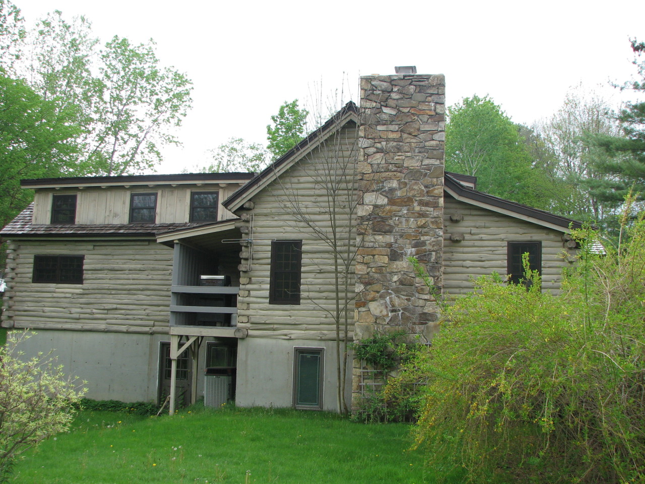 Rear view