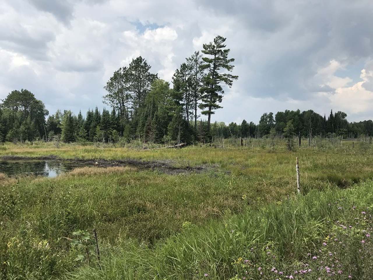 Lot 36 Nathan Pass Mercer, WI 54547 - Photo 50 of 71 Gallery Image 50
