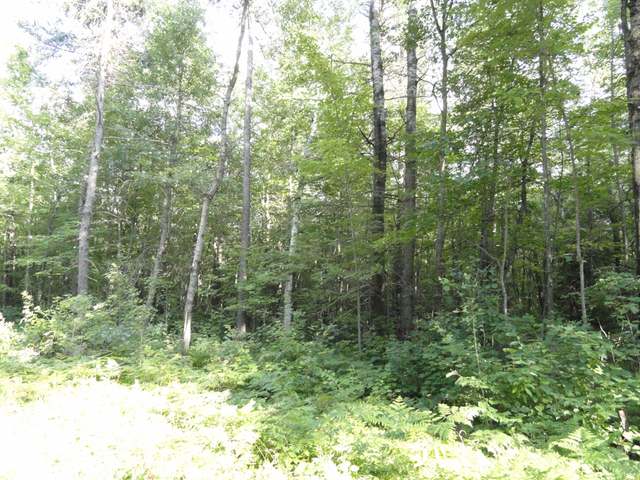 Off Of Off Of Cth F Minocqua, WI 54548 - Photo 3 of 12 Gallery Image 3