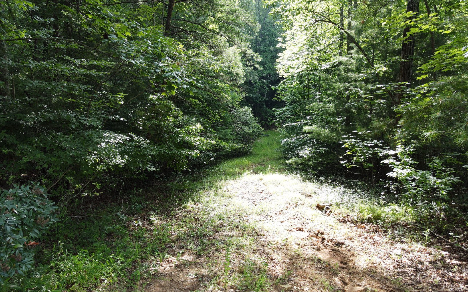 844 Bradley Road Blairsville, GA 30512 - Photo 13 of 25 Additional View
