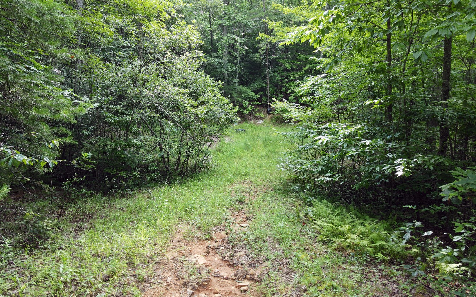 844 Bradley Road Blairsville, GA 30512 - Photo 14 of 25 Additional View