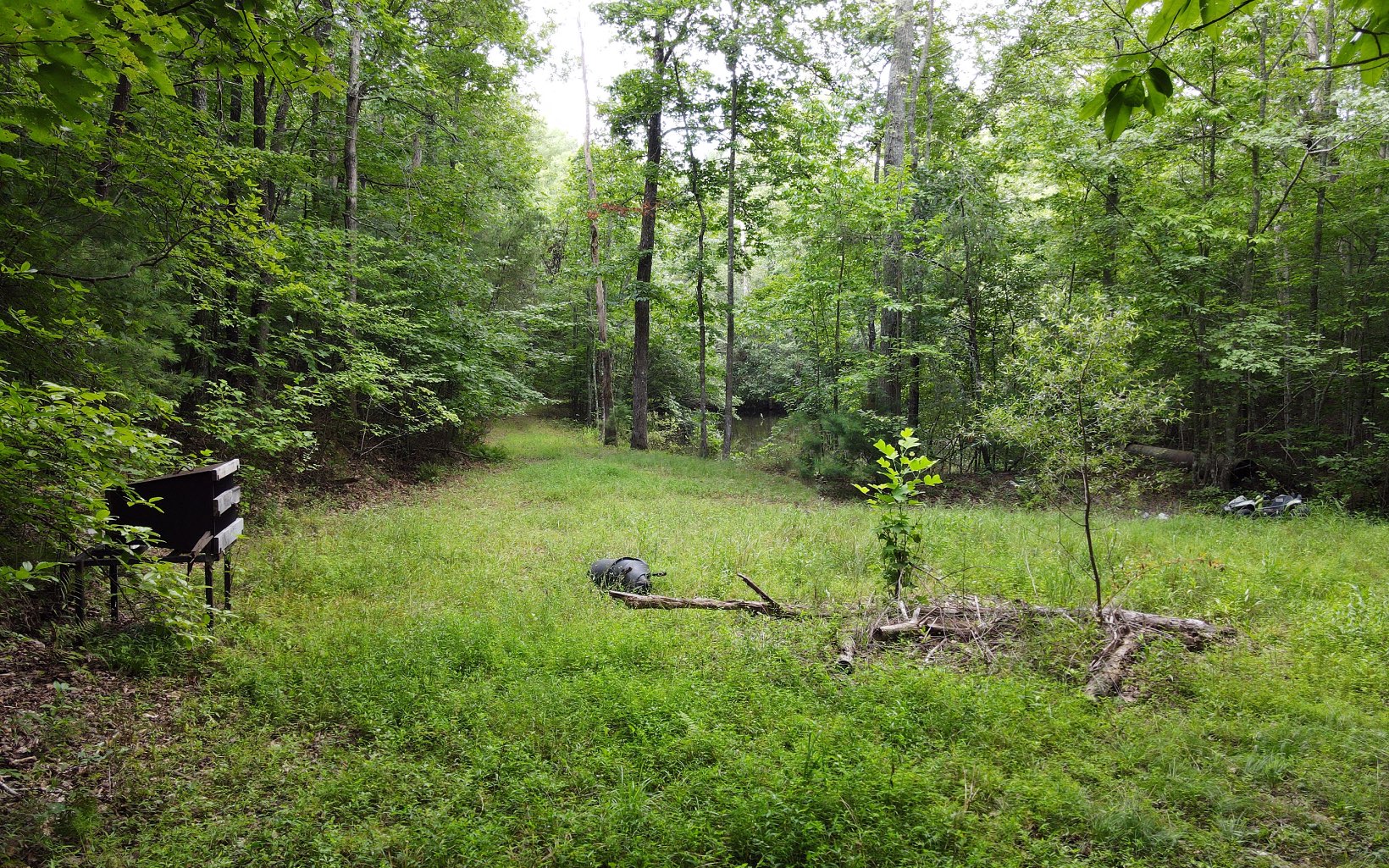 844 Bradley Road Blairsville, GA 30512 - Photo 17 of 25 Additional View