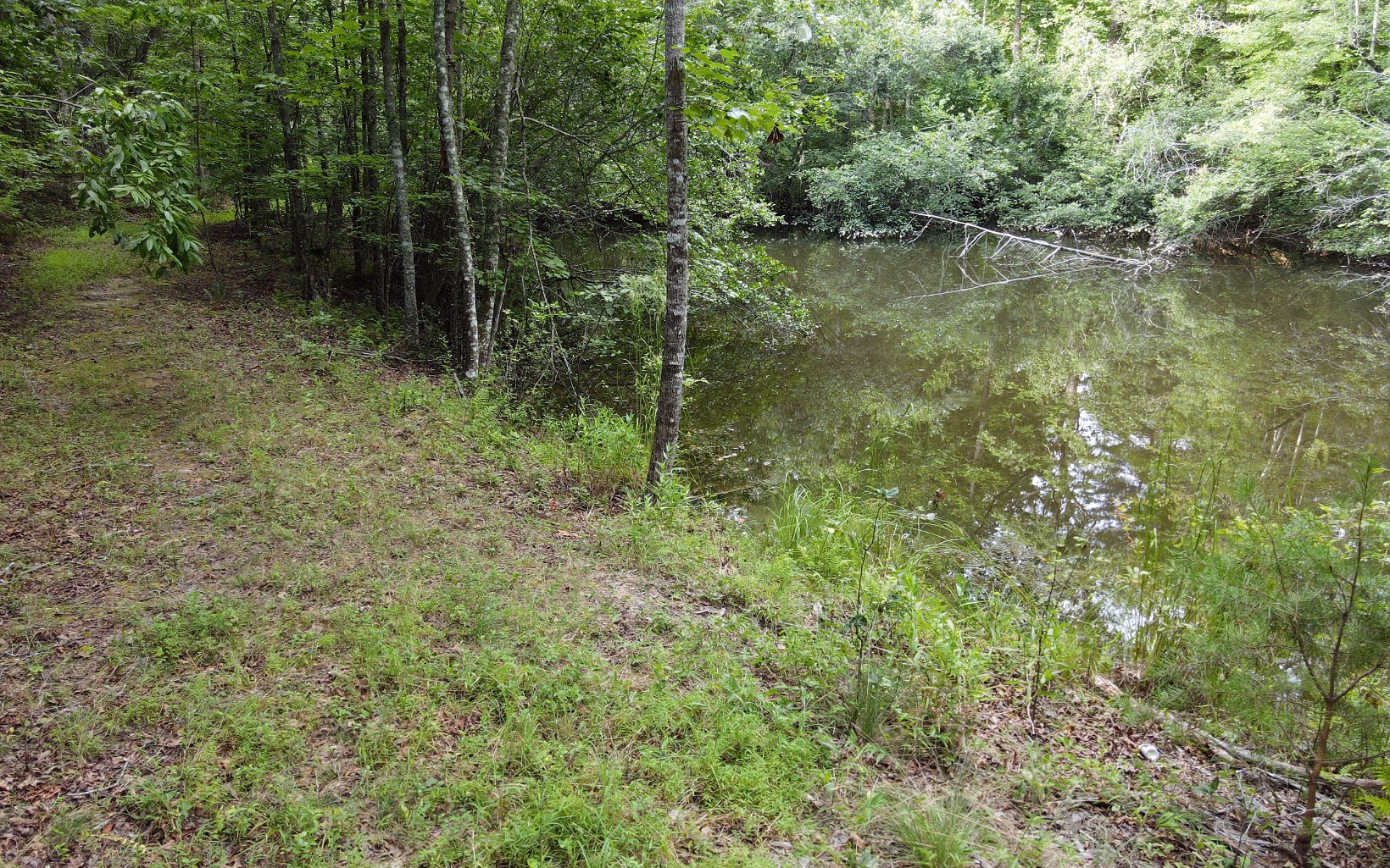 844 Bradley Road Blairsville, GA 30512 - Photo 2 of 25 Additional View