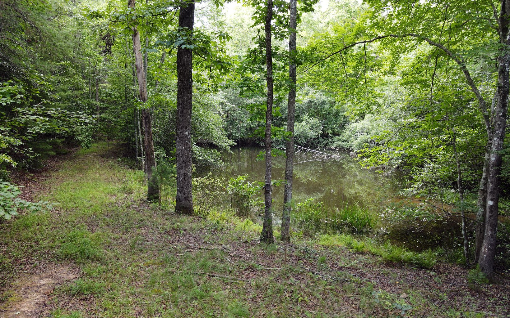 844 Bradley Road Blairsville, GA 30512 - Photo 4 of 25 Additional View