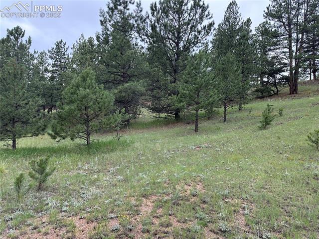 421 Pinewood Road Florissant, CO 80816 - Photo 2 of 10