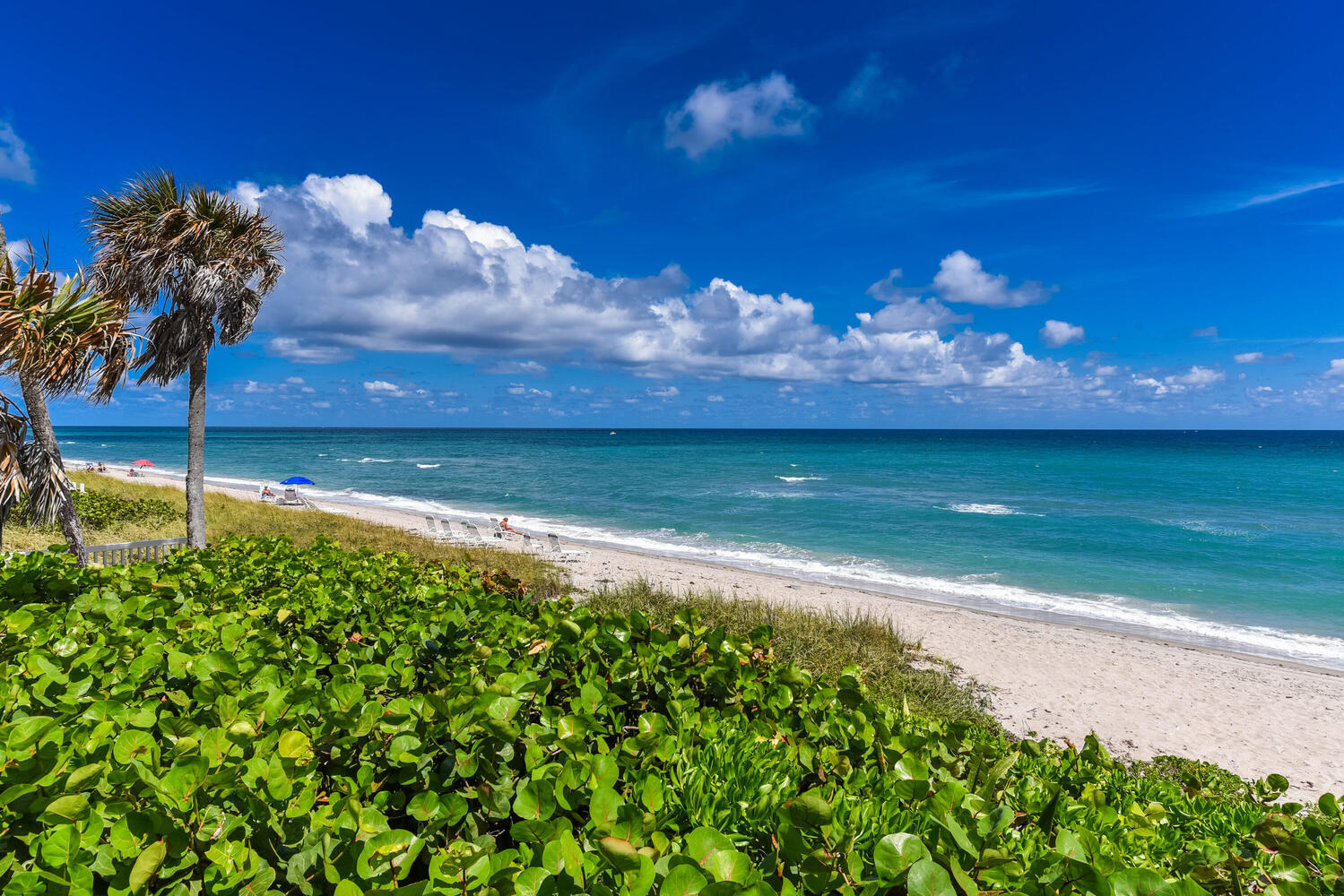 99 Southeast Mizner Boulevard, Unit PH 909 Boca Raton, FL 33432 - Photo 45 of 51 a view of a yard and an ocean view