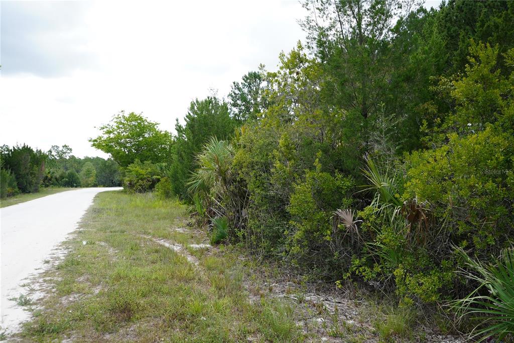 18284 Commercial Way Weeki Wachee, FL 34614 - Photo 6 of 7