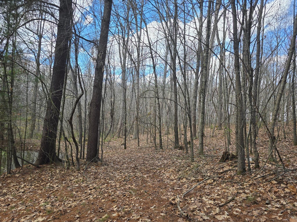 4194 Slab Camp Road Renick, WV 24966 - Photo 19 of 22 Gallery Image 19