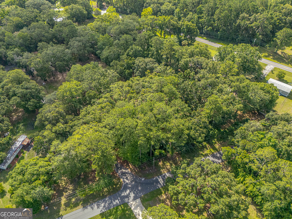 173 Fish Hall Road Brunswick, GA 31523 - Photo 46 of 52