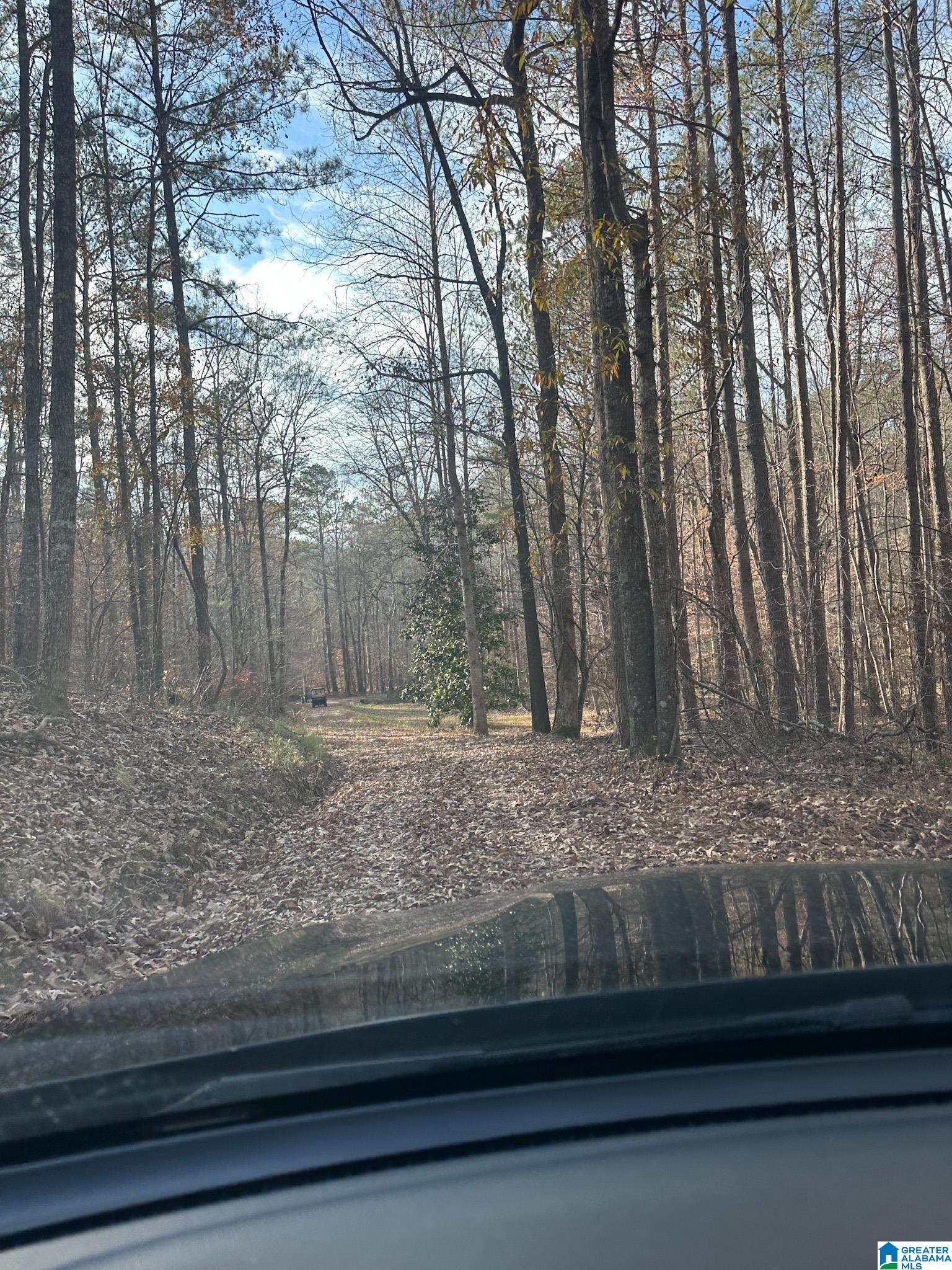 5325 Union T Road Talladega, AL 35160 - Photo 11 of 83