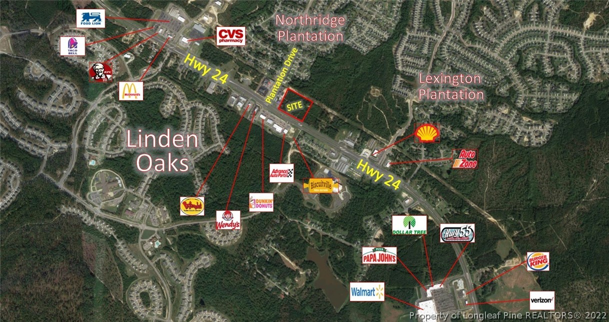 a street sign and a tree in the background