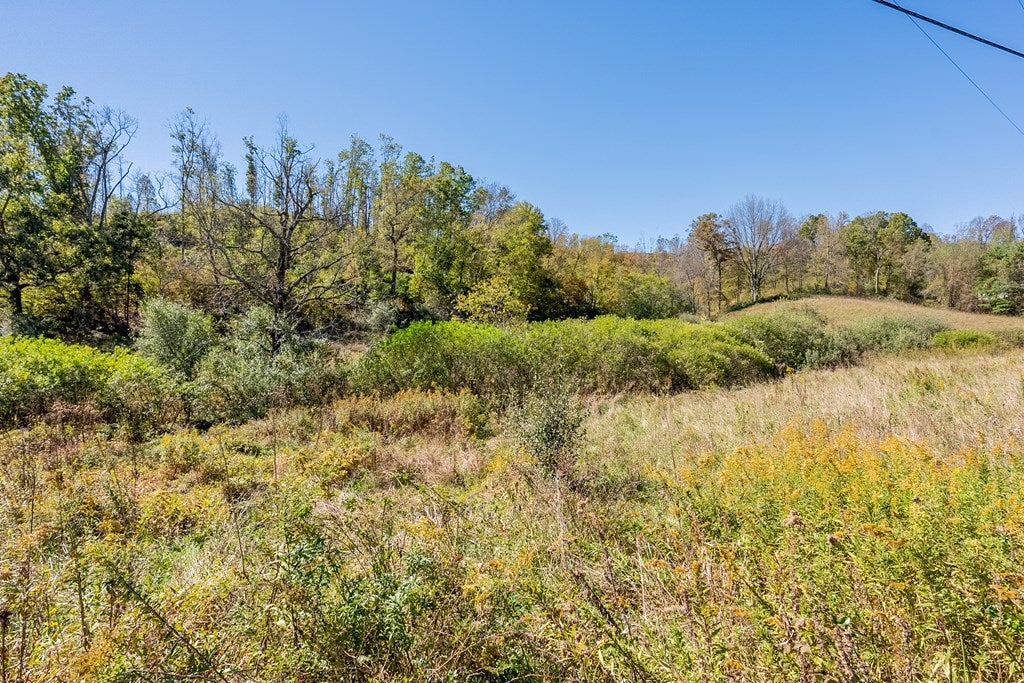 4-acres Carsonville Road Independence, VA 24348 - Photo 4 of 42 Gallery Image 4
