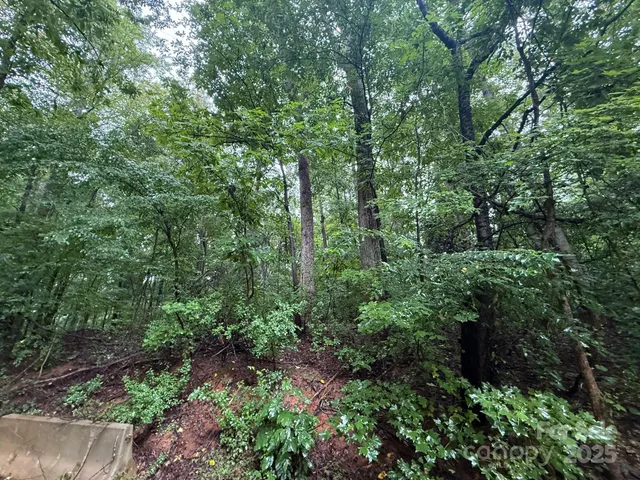 $1,150,200 | 3117 Shirley Drive, Charlotte, NC 28214